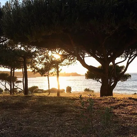 Proche De La Mer - Calvi - F2 311ros Apartment *
