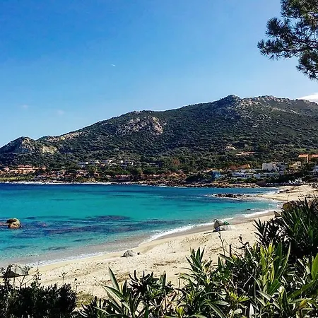 Apartment Proche De La Mer - Calvi - F2 311ros *